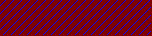 wscwebsite_2025005.jpg